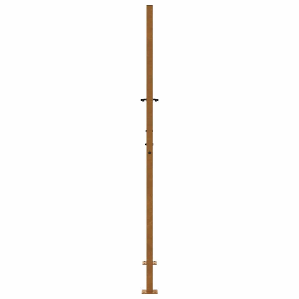 vidaXL Portail de jardin 100x175 cm en acier patiné motif flamme