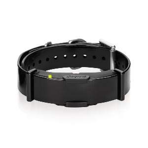 Dogtra - Collar extra de entrenamiento ARC800