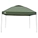 kaitou ワンタッチタープテント テント タープテント ワンタッチ 日よけ キャンプ アウトドア レジャー用品 紫外線 公園 遠足 運動会 花見 3m×3m グリーン