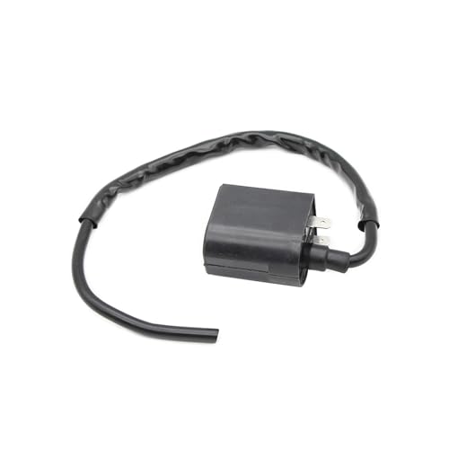 Bobina de encendido para el sistema eléctrico de motocicletas AN150 y AN125 5