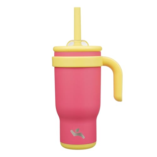 Konokyo 22 oz Insulated Stainless Steel Water Bottle with Straw Lid