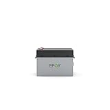 EFOY