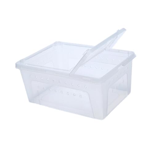 Baoblaze Recipiente de transporte de tartarugas de caixa de alimentação de répteis com aberturas peq