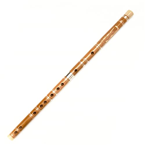 Flûte de musique chinoise D Key haut de gamme avec limitation corne