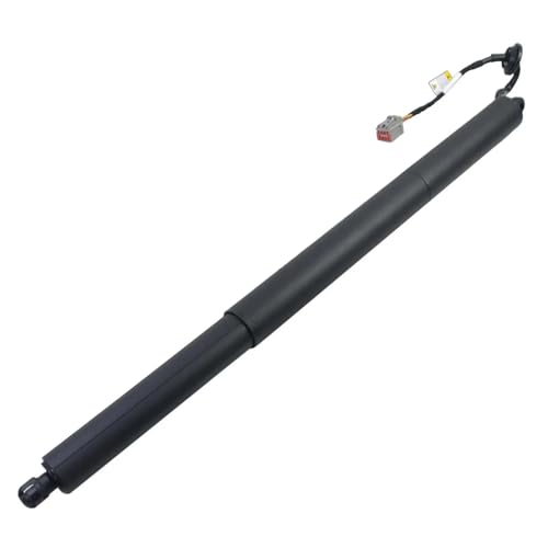 Support hayon électrique BB5Z14B351A pour simplifier le chargement du Ford Explorer - 7