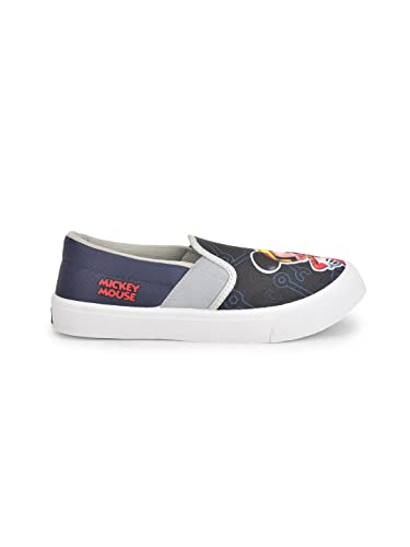 Image of toothless Canvas Shoes | Lace-Up Closure | Durable Canvas Upper | Cushioned Sole | Everyday Casual Wear for Kids