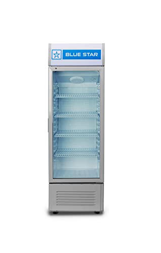 Image of Blue Star VC250D Vertical Glass Single Door Automatic Visi Cooler (220L, white)