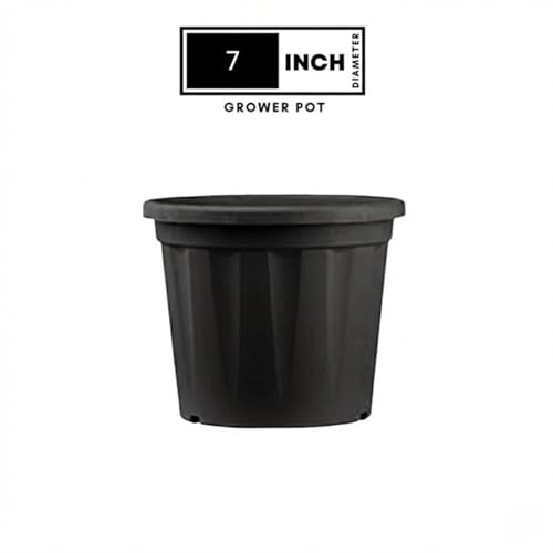 Image of 7 Inch Heavy Duty Plastic Planter | Grower Pot /Garden Pot for Home & Garden (Black) (Pack of 6)