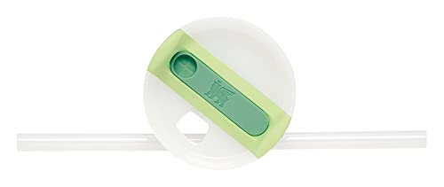 Stanley Quencher H2.0 Tumbler with Straw 14 oz | Flowstate 3-Position Lid | Cup Holder Compatible for Travel | Insulated Stainless Steel Cup | BPA-Free | Citron