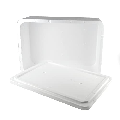 DUE ESSE S.N.C. DI SABATINI ALDO & C. PZ 1 SCATOLA TERMICA GRANDE BIANCA RETTANGOLARE CM 53 X CM 40 ALTA CM 28 + COPERCHIO CASSA PER ASPORTO ALIMENTI MAXI LARGE