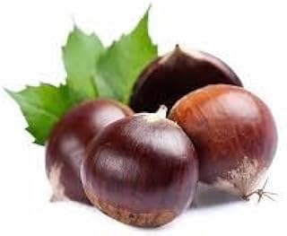 Abu Farafa (Chestnut) Fresh 400g