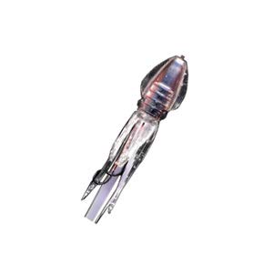 Lumica C00253 Puniraba 1.4 oz (40 g) Firefly Squid