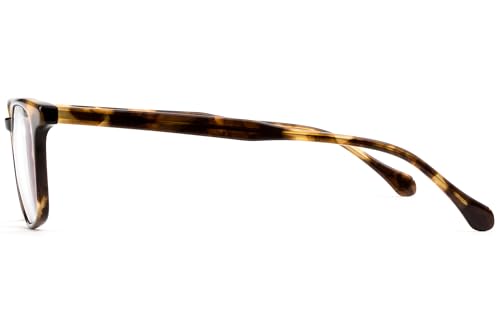 Image of Felix Gray Nash, Blue Light Blocking Glasses, Clear Lens
