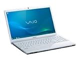 Sony Vaio EB4E1E/WI 39,3 cm (15,5 Zoll) Laptop (Intel Pentium P6200, 2,1GHz, 4GB RAM, 320GB HDD, Intel HD Graphics, DVD, Win Vista HP)