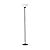 Adesso Home 7500-01 Transitional Two Light Floor Lamp from Aries Collection in Black Finish, 73