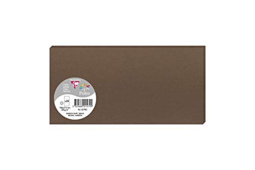 Clairefontaine 1579C Packung mit 25 Karten Pollen in Format DL, 210g 106 x 213mm, Maulwurfsgrau