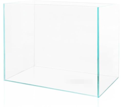 3 Gallon Glass Fish Tank Cube, Small Aquarium Fish Bowl for Betta Goldfish Snails Shrimp Aquatic Planting, Easy to Maintain Ultra Clear Rimless Design for Desktop Small Spaces