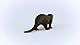 SCHLEICH WILD Life | Fischotter 14865 | detailgetreue Tierfiguren | Zoo Spielzeug Jungen und Mädchen | Deko für Geburtstag | Spielfigur ab 3 Jahren | 8 x 2 x 3 cm
