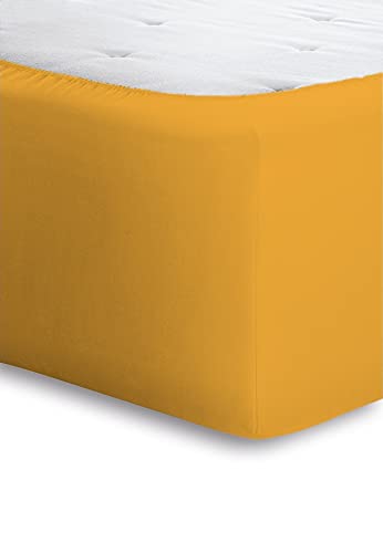 Bassetti Boxspring Oro 196 9314108 Fitted Sheet Plain Cotton and Elastane 180 x 200 cm / 200 x 220 cm, Gold, 180x200 200x220 - Image 2
