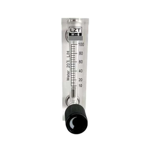 Débitmètre LZT-6T à rotor pour un contrôle visuel précis 10-100L/H