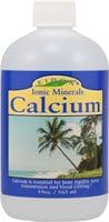 Calcium - 19 fl oz