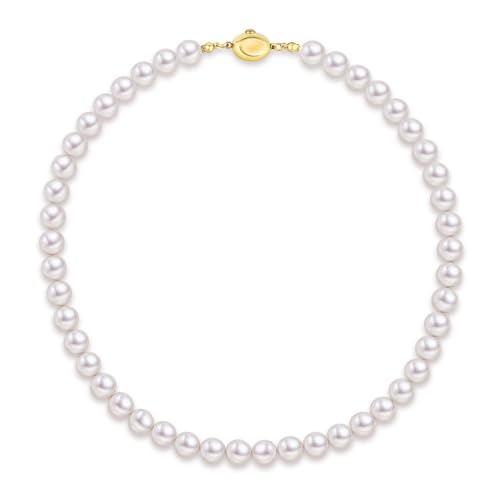 [KRKC] p[lbNX  8.0mm fB[XlbNX 嗱Ov~Ap[ p ^JWA p[ aMtg wƎMtg ̓v[g {bNXt 41cm/46cm zCg/ubN