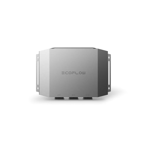 Chargeur de Batterie de Voiture EcoFlow 800 W, Chargeur Rapide