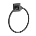 Porte-serviette mural en acier inoxydable SUS 304 avec anneau porte-serviette chromé pour salle de bain et cuisine (Noir)