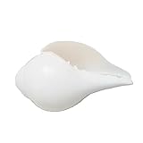 Genuine Blowing Shankh (VAMAVARTI BAJNEWALA) 5.5 inches - AAA Quality Conch Shell - Blowing Dattatreya Shankh Shankha Conch Shell - Puja Ritual Shankhnaad Religious Sound (White)