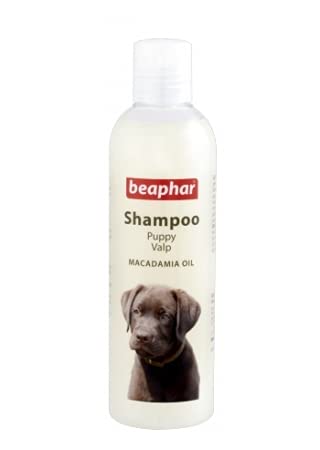 Foodie Puppy Beaphar Shampoo Macadamia Oil for Puppy Valp, 250ml (Pack of 1)