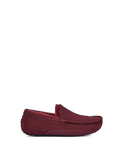 Image of UGG Men's Ascot Slipper