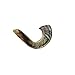 Amen Judaica Ram Horn Shofar From Israel, Beautiful Blowing Shofar Made In Israel (12-14 Inch)