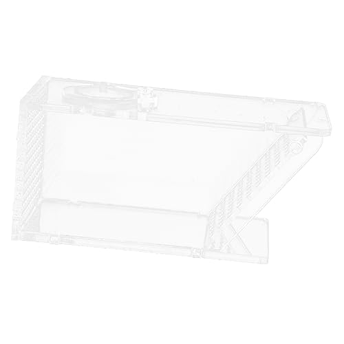 HANABASS p  {bNX  Η ߊlp Ȑp ɂ  