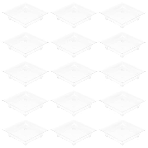 Hoement 25ĝăfU[ge ^vX`bNM h?pP[L{E v [OgΉ JtF XgP[^Opi