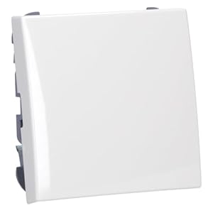 Busch-Jaeger Wippe aws 2506-914 Abdeckung