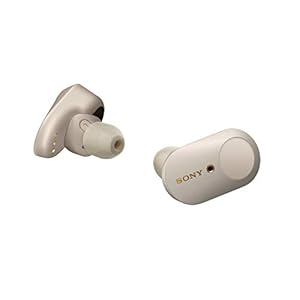 Sony WF-1000XM3 True Wireless Noise Cancelling Koptelefoon (tot 32 uur batterijduur, stabiele bluetoothverbinding, Amazon Alexa, compleet draadloze oordopjes inclusief laadcase), zilver