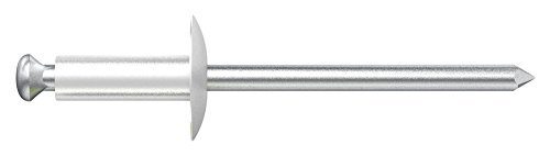 Desa 7534016B - Remache aluminio/acero flor cabeza grande 12/4x16 blanco RAL 9010
