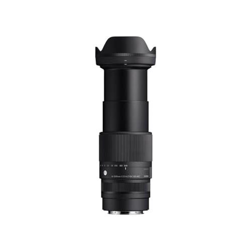 Image of 16-300mm F3.5-6.7 DC OS | Contemporary