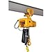 Harrington Hoists Harrington SNERP010L-15 SNER Electric Chain Hoist w/Push Trolley - 1 Ton, 15