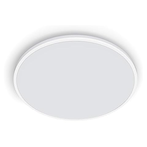 PHILIPS Ozziet 22W Cool White Ceiling Light Cover