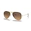Gold /Polarized Brown Gradient