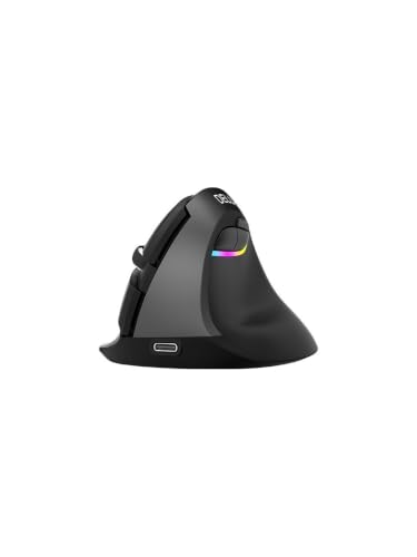 Delux M618 Mini Ergonomik Dikey Mouse Bluetooth 4.0 + 2.4GHz