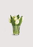 NAPA HOME&GARDEN,Dutch Tulip ARRGMT in VASE 7.5