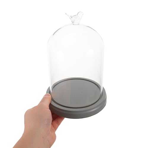 Campana de vidrio para flores y coleccionables con base de madera redonda 5
