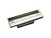 Honeywell 1-300 dpi - printhead - for H-Class H-6308, H-6310X