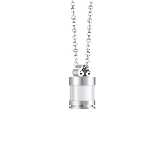 Collier d'urne de chien argent 925 résout la peur de l'oublie