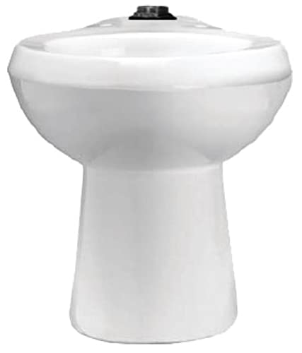 Sloan 2112029 Sloan ST-2029-A-BPL One Piece Elongated ADA Toilet less Seat