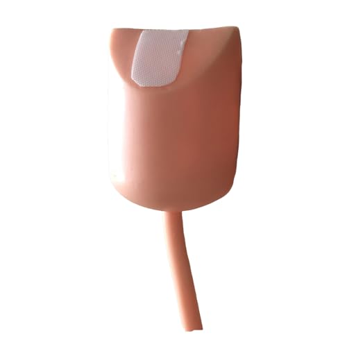 LKYLVEE Zystisches Organmodell - laparoskopisches Darmtrainingsmodell - für die Lehre von Medizinstudenten,Flesh,7cm