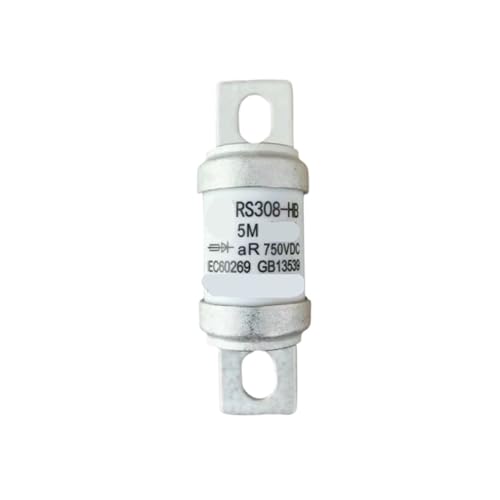 Fusible RS308-HB-5M 750 V 100A pour la protection des circuits électriques industriels