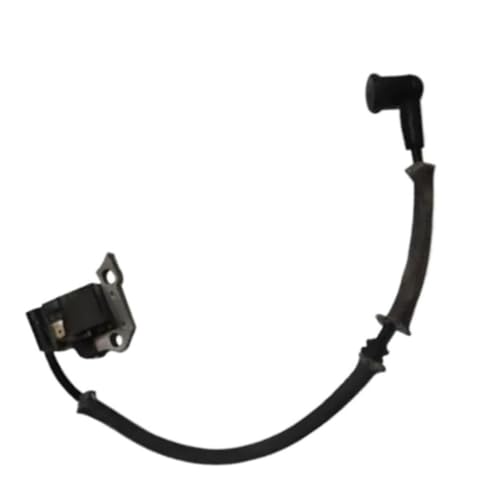 Bobine d'allumage EB600 pour réparer un souffleur de feuilles qui ne démarre plus